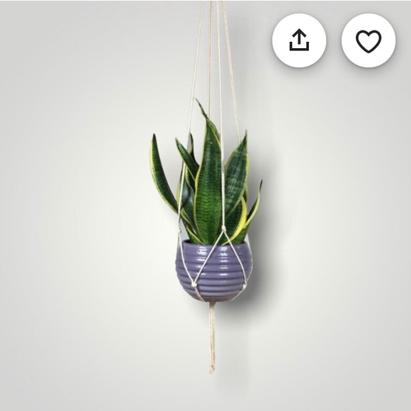 Minimalist Macrame Plant Hanger - 60” - Picture 1 of 6